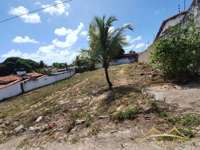 #542 - Terreno para Venda em Nísia Floresta - RN